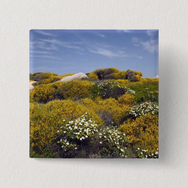 Italien, Sardinien, Santa Teresa Gallura. Capo 3 Knapp (Framsida)