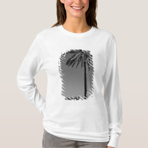 Italien, Sicilien, Agrigento, La Valle dei Templi, Tee Shirt