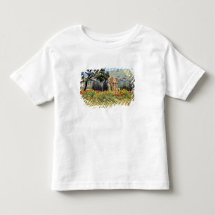 Italien, Sicilien, Agrigento. Ruinerna efter Tee