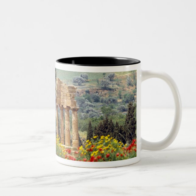 Italien, Sicilien, Agrigento. Ruinerna efter Två-Tonad Mugg (Höger)