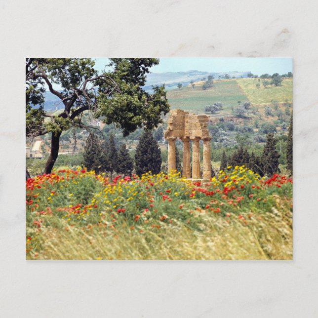 Italien, Sicilien, Agrigento. Ruinerna efter Vykort (Framsida)