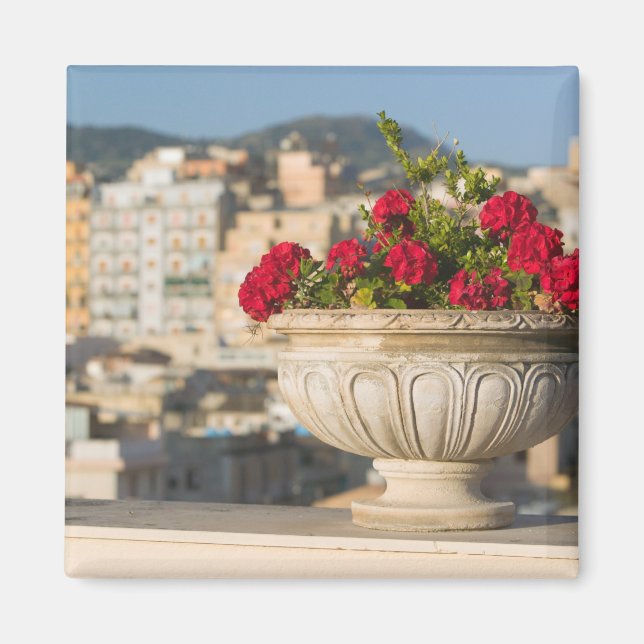 Italien, Sicilien, Termini Imerese, Utsikt & Blomm Magnet (Framsidan)