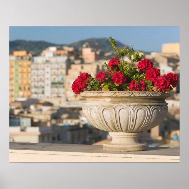 Italien, Sicilien, Termini Imerese, View & Flowers Poster (Framsidan)