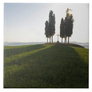Italien, Toscana, Cypressträd i Toscana med Kakelplatta
