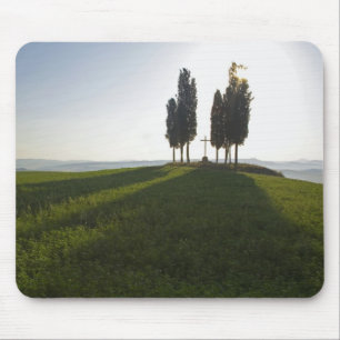 Italien, Toscana, Cypressträd i Toscana med Musmatta