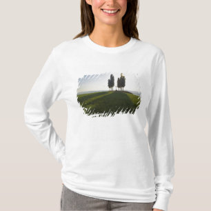 Italien, Toscana, Cypressträd i Toscana med T Shirt