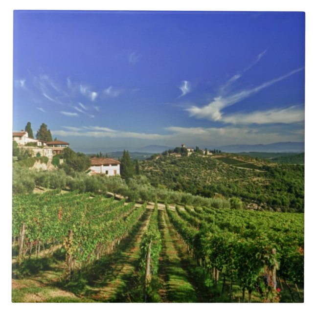 Italien, Toscana, Greve. Castellos vingårdar Kakelplatta (Framsidan)