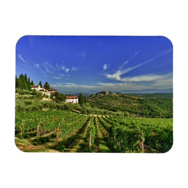 Italien, Toscana, Greve. Castellos vingårdar Magnet (Horisontell)