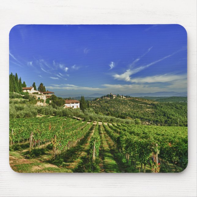 Italien, Toscana, Greve. Castellos vingårdar Musmatta (Framsidan)