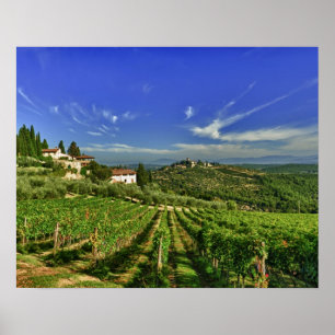 Italien, Toscana, Greve. Castellos vingårdar Poster