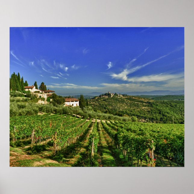 Italien, Toscana, Greve. Castellos vingårdar Poster (Framsidan)
