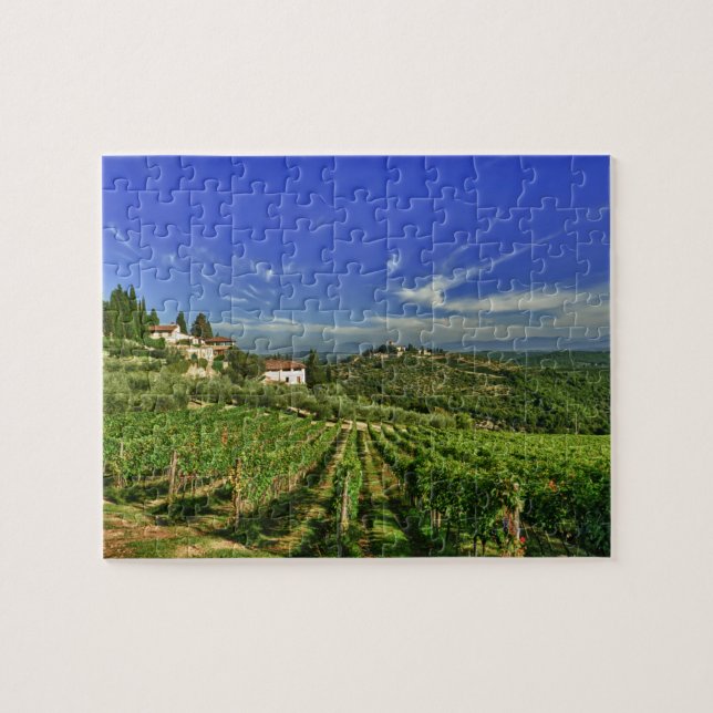Italien, Toscana, Greve. Castellos vingårdar Pussel (Horisontell)