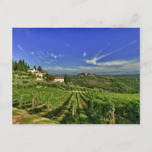 Italien, Toscana, Greve. Castellos vingårdar Vykort