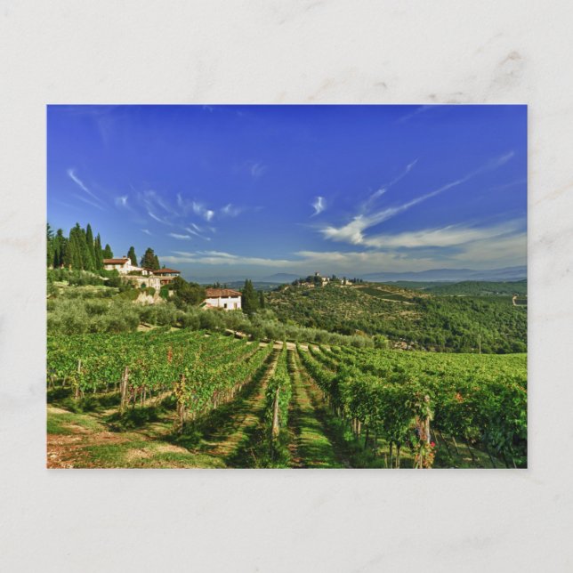 Italien, Toscana, Greve. Castellos vingårdar Vykort (Framsida)