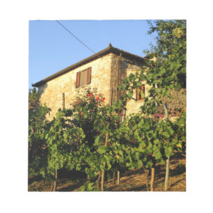 Italien, Toscana, Greve. Scener från vinodlingar s Anteckningsblock