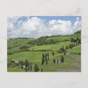 Italien, Toscana. La Foce. En kurvad väg slingrar Vykort