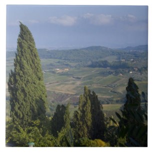 Italien, Toscana, Montepulciano. Utsikt över Kakelplatta