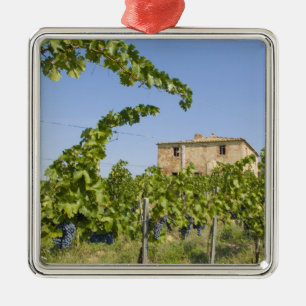 Italien, Toscana, Montepulciano. Vin druvor redo Julgransprydnad Metall