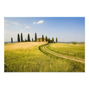 Italien, Toscana, toskansk villa nära skörden. Fototryck