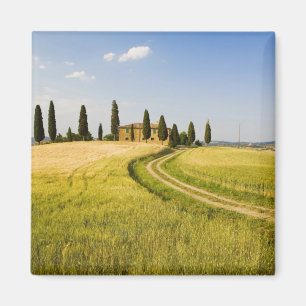 Italien, Toscana, toskansk villa nära skörden. Magnet