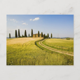 Italien, Toscana, toskansk villa nära skörden. Vykort