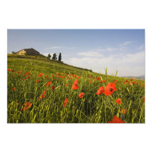 Italien, Toscana, toskansk villa på våren med Fototryck