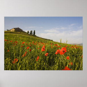 Italien, Toscana, toskansk villa på våren med Poster