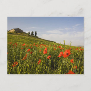Italien, Toscana, toskansk villa på våren med Vykort