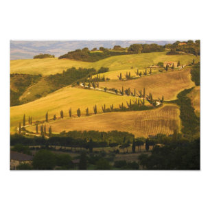 Italien, Toscana, ZigZag-vägen i Toscana. Fototryck