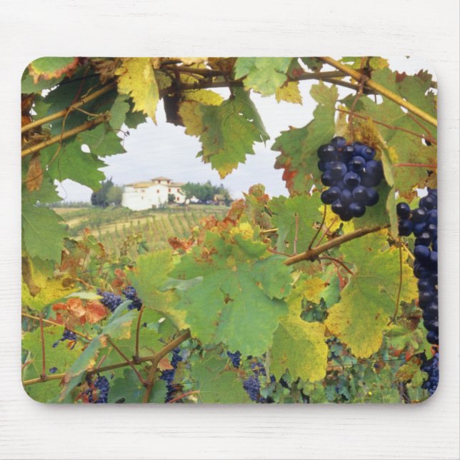 Italien, Toskana Farmhouse, genomsökt Musmatta (Framsidan)