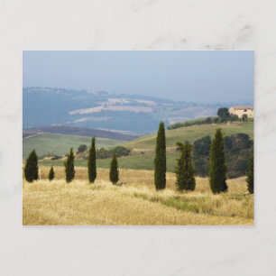 Italien. Toskana. Pienza. Vykort