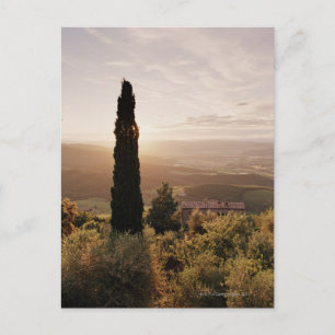 Italien,Toskana,Val d'Orcia,Montalcino Vykort