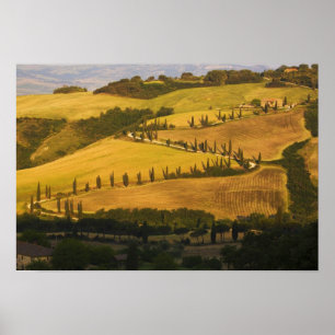Italien, Toskana, ZigZag Road i Toskana. Poster