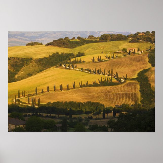 Italien, Toskana, ZigZag Road i Toskana. Poster (Framsidan)
