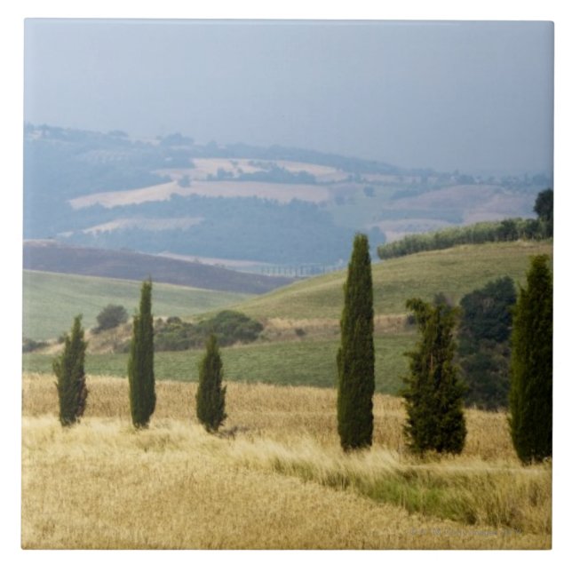 Italien. Tuscany. Pienza. Kakelplatta (Framsidan)