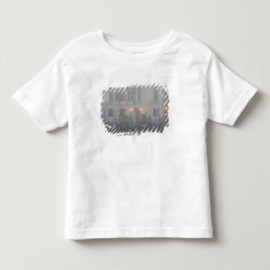 Italien, Venedig. En rad gondoler sedda genom T-shirt