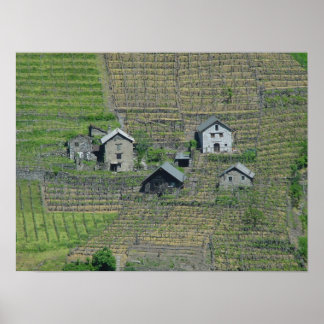 Italien Vin Fält Poster