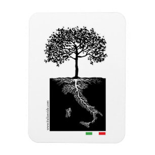 Italienare rotar magneten magnet