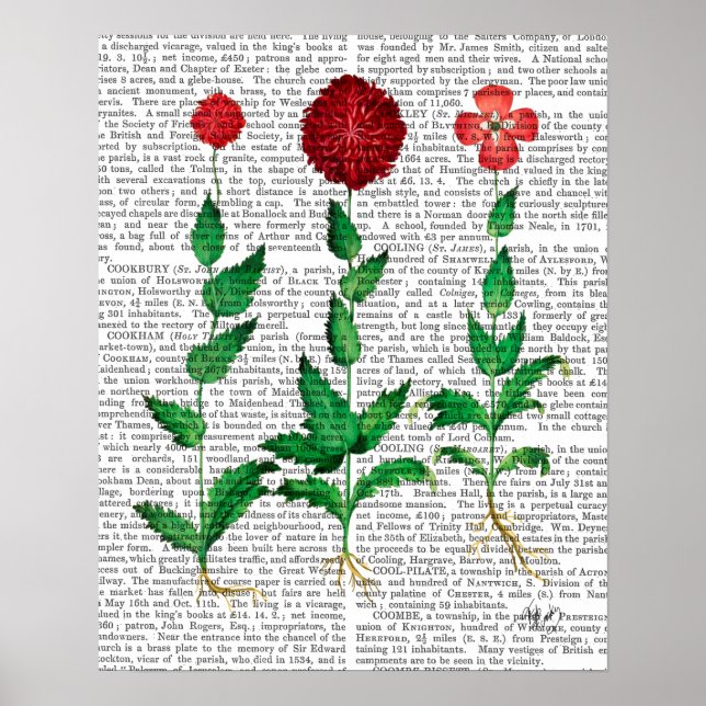 Italiensk carnation 2 poster (Framsidan)