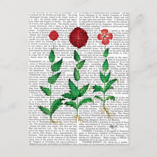 Italiensk carnation 2 vykort (Framsida)
