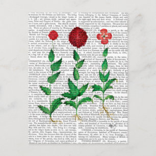 Italiensk carnation 2 vykort