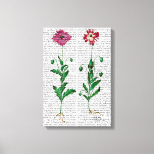 Italiensk carnation 3 canvastryck