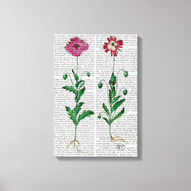 Italiensk carnation 3 canvastryck (Framsida)