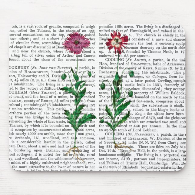 Italiensk carnation 3 musmatta (Framsidan)