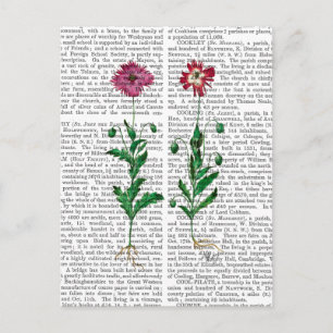 Italiensk carnation 3 vykort
