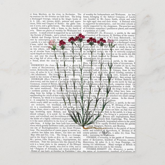 Italiensk carnation 4 vykort (Framsida)
