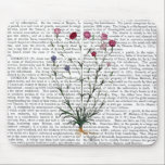 Italiensk carnation 5 musmatta<br><div class="desc">Botanisk och Blommigt</div>