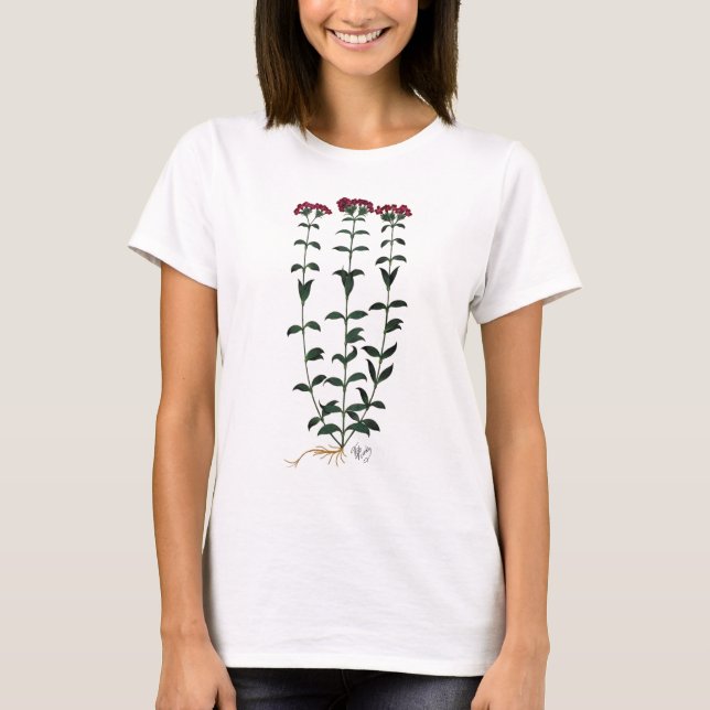 Italiensk carnation 6 tee shirt (Framsida)