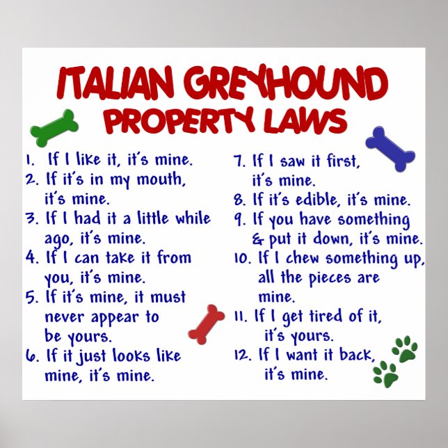 ITALIENSK GREYHOUND PL2 POSTER (Framsidan)