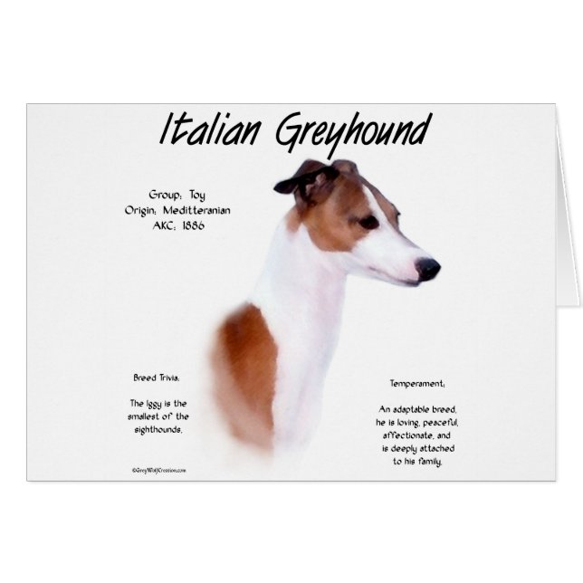 Italiensk historikdesign för grekiska juthundar hälsningskort (Framsidan Horizontal)